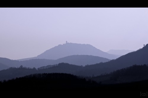 monochrome misty foggy hills alsace hazy vosges hautkoenigsbourg collines brumeux dieffenthal dégradé