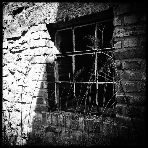 travel blackandwhite window germany blackwhite bnw bnwphotography photoblackandwhite blackandwhitephotopgraphy