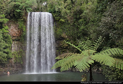 Millaa Millaa Falls, Atherton Tablelands, Australia