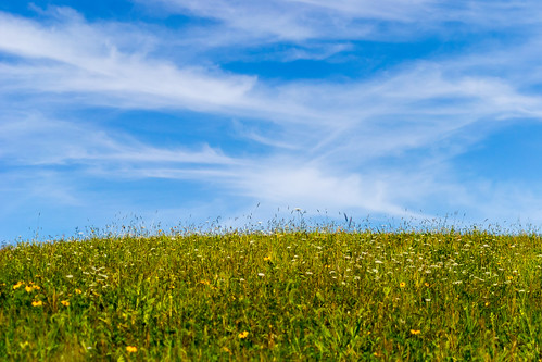 county flowers sky horizon meadow dubuque whitewatercanyon sdgiere