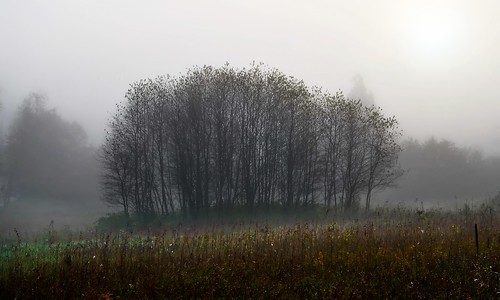 mist ontario canada misty fog lakes foggy grifith renfrewcounty matawatchanrd