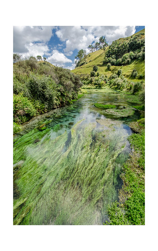 newzealand green water river spring nikon bluespring 1224f4