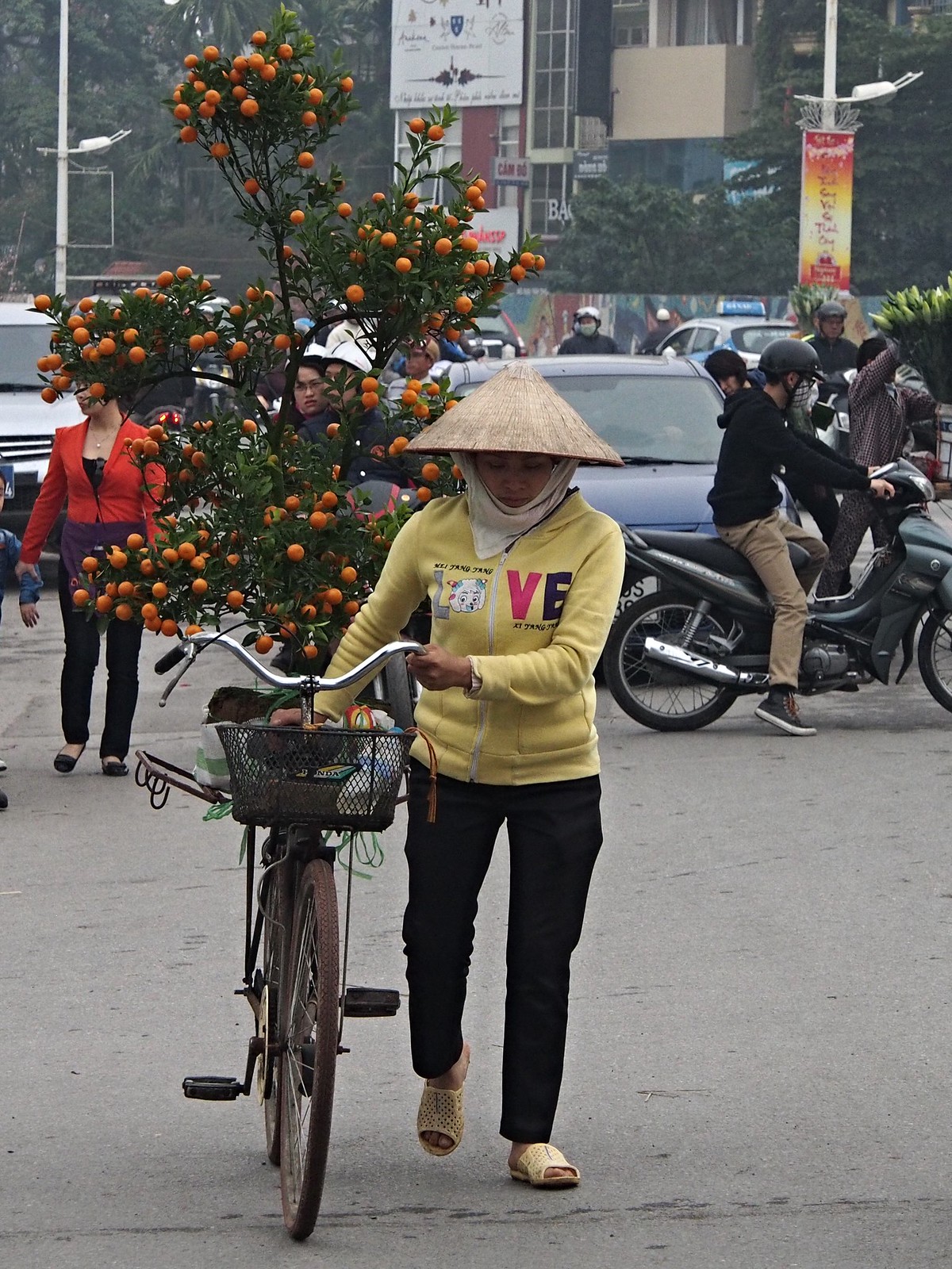  Hanoi