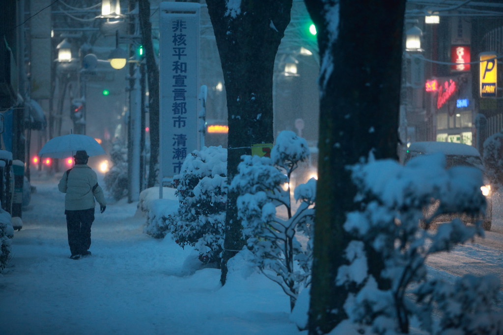 Heavy Snows In Tokyo