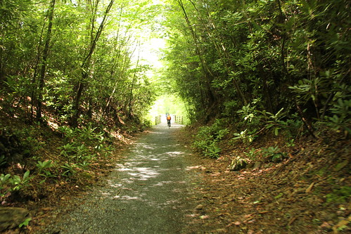 bike railstotrails whitetop whitetopmountain whitetopmountainva whitetopmountainvirginia damascus damascusva damascusvirginia shuttleshack shuttleshackbikes shuttleshackdamascusva shuttleshackdamascusvirginia elichristman elijahchristman elijameschristman elijahjameschristman elichristmanrva elijahchristmanrva elichristmanrichmondva elichristmanrichmondvirginia elijahchristmanrichmondva elijahchristmanrichmondvirginia