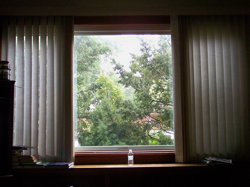 home window outside blinds inside