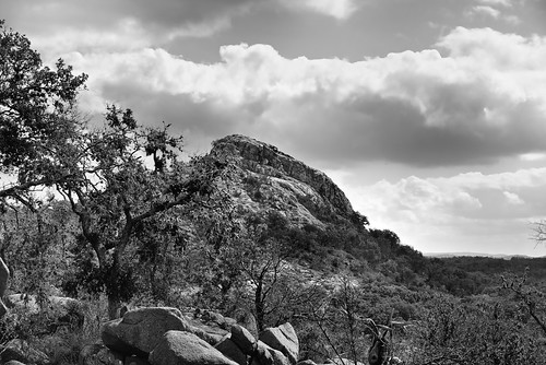 trees nature blackwhite texas unitedstates hiking canvas portfolio hillcountry fredericksburg texasstatepark enchantedrockstatenaturalarea project365 turkeypeak colorefexpro blueskieswithclouds silverefexpro2 nikond800e hillsidestrees