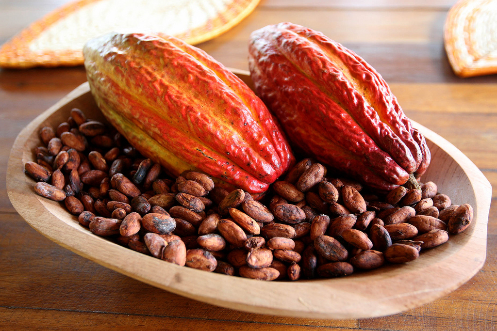 6. Cacao y semillas de cacao. Autor, Photos Gobva