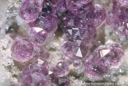 rock crystal mining mineral geology gem fluorite scienceeducation sericite carolinabiologicalsupplycompany