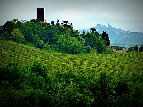 verde alberi lumix torre panasonic piemonte borgo colline monferrato paese vigneto prati skiappa