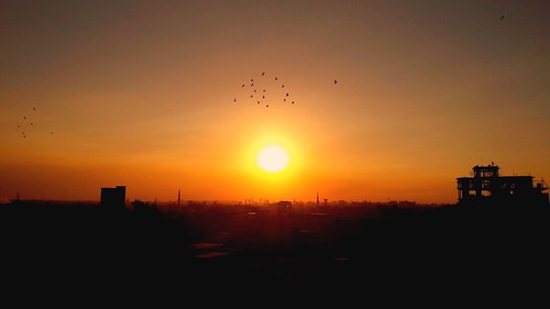 sunset sun pigeon cityview