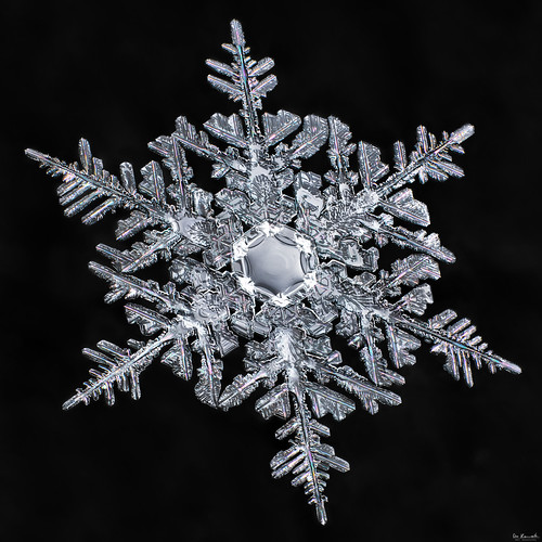 snowflake winter snow cold color macro ice nature water crystal geometry prism flake symmetry fractal balance mpe focusstacking donkom