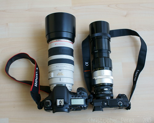 Sony A6000/Nikon 300mm f/4.5 H vs Canon 7D/100-400L