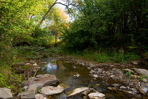 trees green nature water grass river landscape stones poland polska natura bieszczady zielony woda trawa rzeka drzewa kamienie krajobraz bieszczadymountainrange dołżyczka