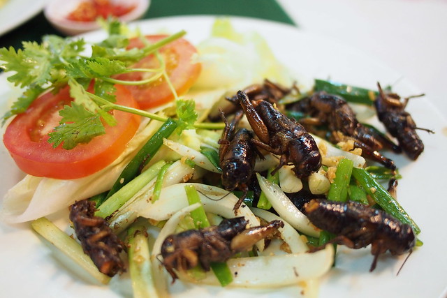 fried crickets, Luong Son (Bo Tung Xeo), Ho Chi Minh City (Saigon), Vietnam