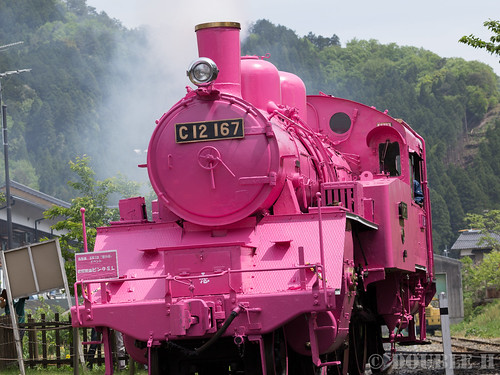 Pink SL at Wakasa Railway (19)