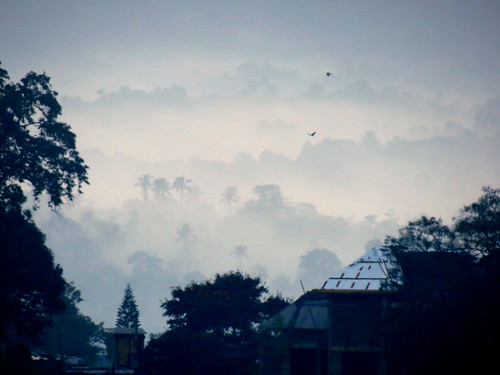 morning mist mountain mountains fog clouds hills srilanka kandy lakeviewlodge rajapillamawatha