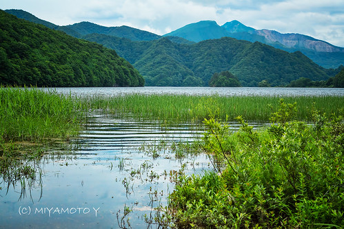 summer mountain lake reflection