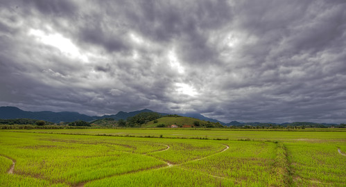 storm weather day rice nuvens pabst santacatarina tempo campos mateus fileds escuras arrroz mateuspabst