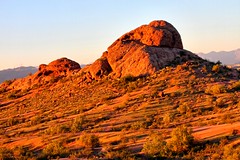 Papago in the morning light