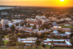 University of Tampa Orange Glow