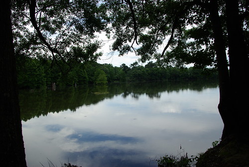 lake water landscape