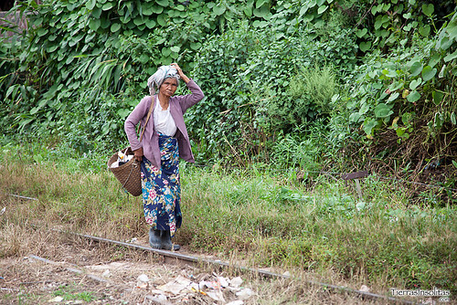 Trekking Kalaw-Inle (día 1) Myanmar