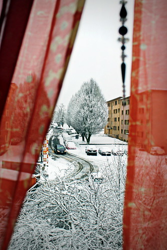 street trees winter snow window buildings schweiz switzerland apartments suisse hiver lausanne curtains neige svizzera vaud immeubles romandie boisgentil notthegcc