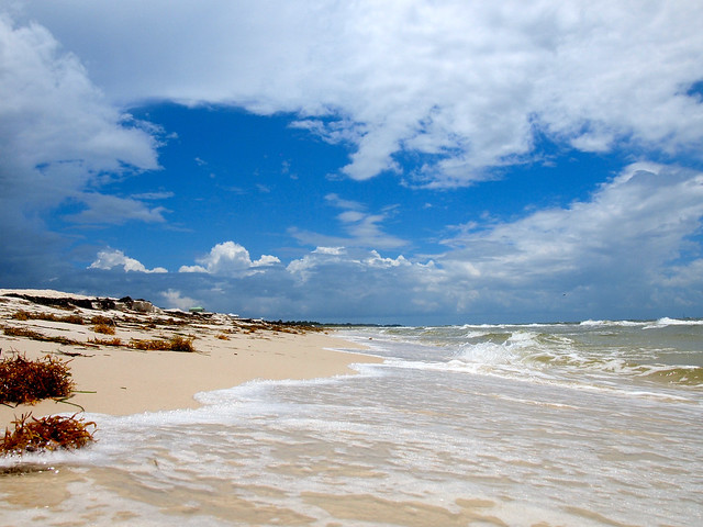 St. Joe Beach on Florida's Gulf Coast