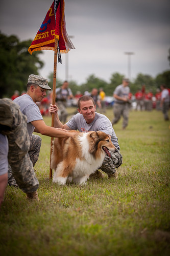 campus mascot marchofdimes cadets texasam reveille aggies corpsofcadets marchtothebrazos