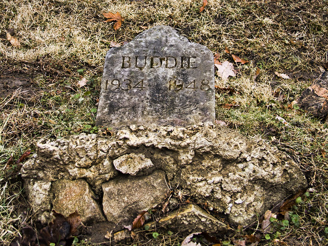 Indiana University gravestones
