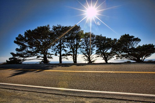 california road street trip travel november blue shadow vacation sky usa sun white tree nature weather silhouette yellow america canon eos highway flickr day view unitedstates outdoor united line clear modified states gps 2012 topaz plaskett ca1 canoneos5d 1635mmf28 cabrillohwy canonef1635mmf28l