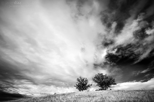 autumn blackandwhite fall blancoynegro clouds composition landscape paisaje nubes otoño blacknwhite león composición sobarriba javierdiaz javierdíaz javierdb javierdíazbarrera javibichos javierdiazbarrera javierdiazbarreraes