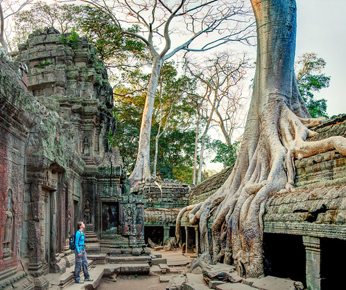 morning light tree scale nature overgrown sunrise geotagged temple person ancient cambodia kambodscha long solitude mood loneliness khmer pentax outdoor roots sigma angkorwat calm unesco size lonely siemreap angkor wat taprohm gazing ta tombraider coordinates hdr apsara position lat k5 worldheritage prohm 2014 encroachment photomatix sigma1770 spung rajavihara