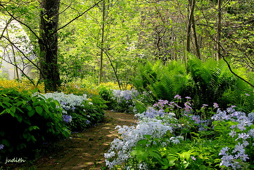nature garden buckscounty pathway churchvillenaturecenter
