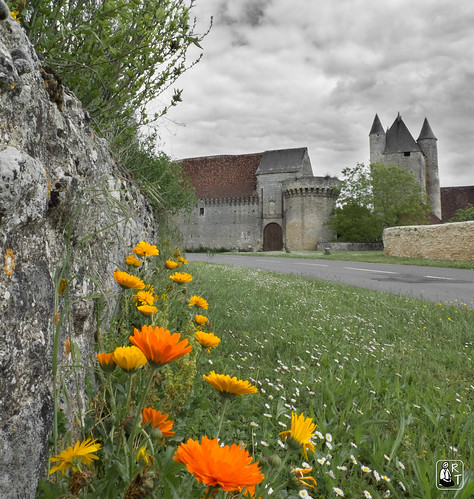 sky orange cloud france flower castle fleur yellow jaune landscape ciel chateau nuage paysage centrevaldeloire
