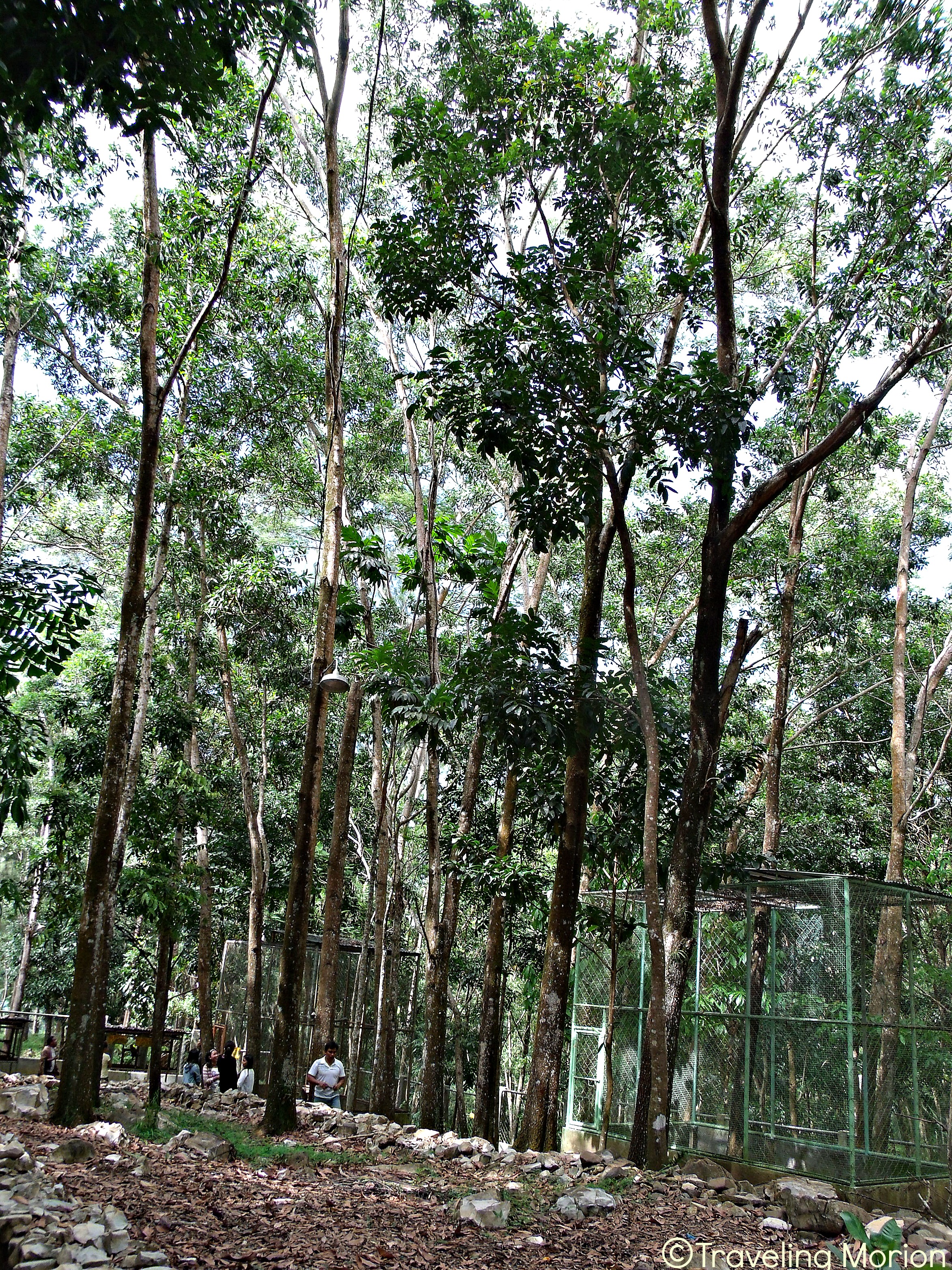 Lantawan Eco Park Kitcharao, Agusan del Norte