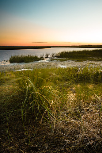 morning sky usa sun sc water grass sunrise reeds us unitedstates unitedstatesofamerica southcarolina places marsh locations kiawahisland lowcountry ef2470f28lusm