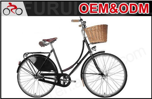 $50 Dutch bike