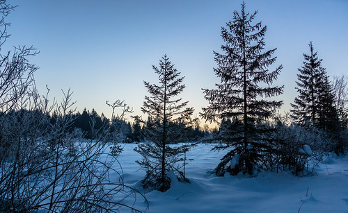 schnee winter mist lake snow sunrise frost sonnenaufgang wetter dunst kirchsee