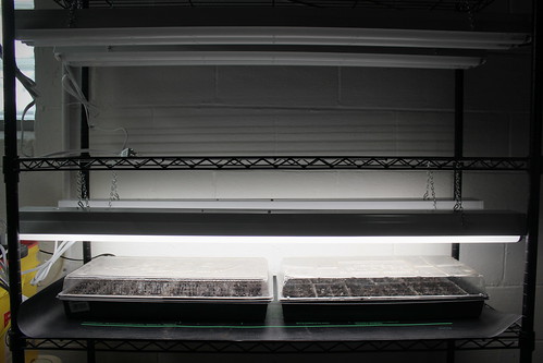 20150208. Seed starting upgrades! Lights that raise and lower and a heat mat.