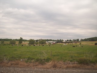 Farms