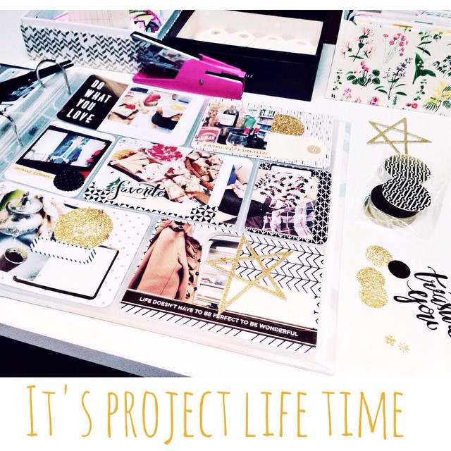 project life