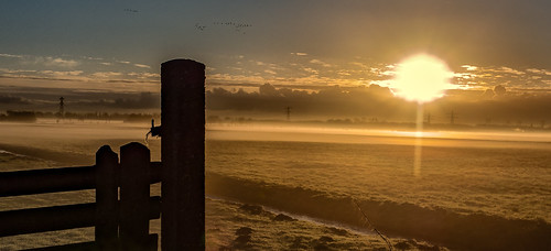 morning sun clouds sunrise fence dawn grassland polder hff sundawn middendelfland migrantbirds nederlandvandaag fencefriday
