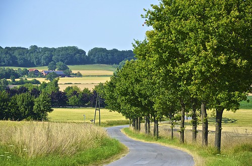 trees sky weather germany landscape felder himmel fields nrw landschaft bäume nordrheinwestfalen wetter münsterland westfalen beckum höxberg kreiswarendorf