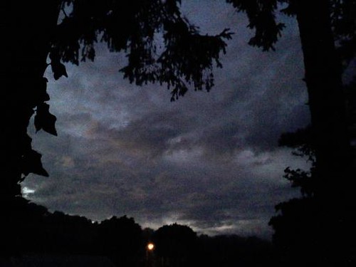 trees sunset sky texture silhouette night clouds dark skyscape evening twilight moody purple pennsylvania pa cloudscape lehighvalley nepa northamptoncounty slatebelt lowermtbetheltownship