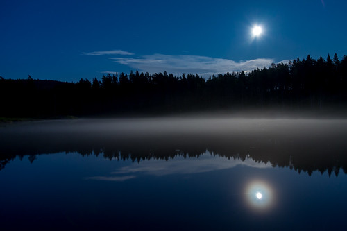 trees moon lake nature water norway night forest canon landscape eos see mond norge long exposure nacht outdoor mark sommer iii norwegen full 5d scandinavia wald bäume langzeitbelichtung 15s ef24105mm mykland