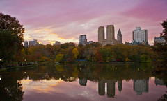 Sunset in Central Park, New York City