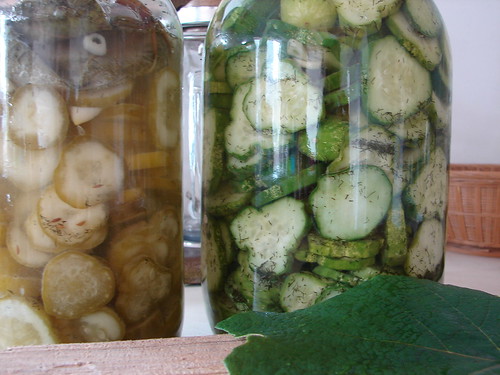 lacto-fermented gherkins