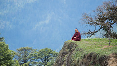 Monk at Dochula Pass